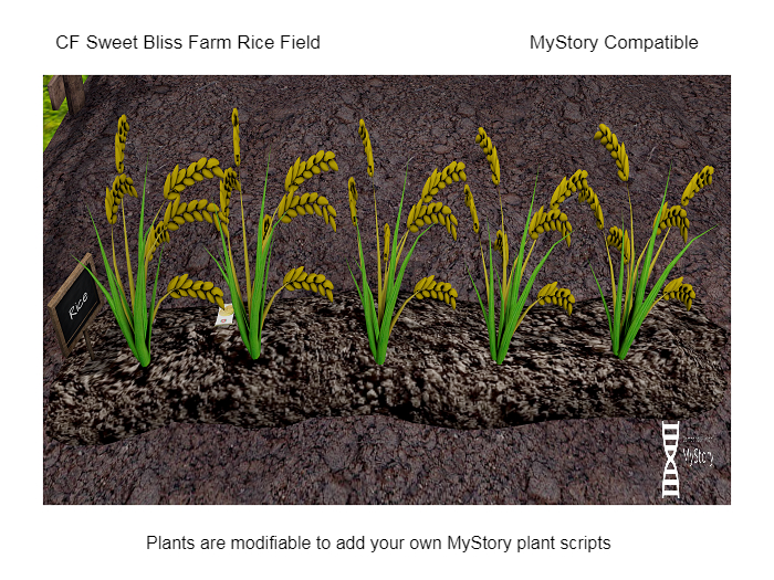 CF Rice Field boxed (wear & touch) MyStory Compatible