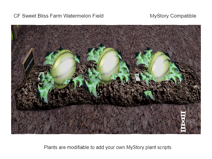 CF Watermelon Field boxed (wear & touch) MyStory Compatible