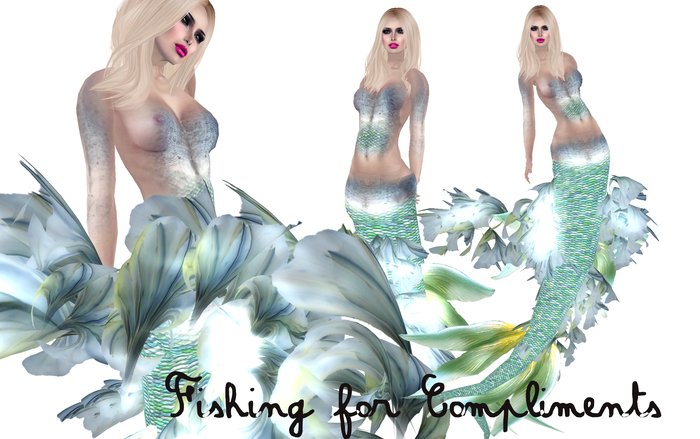 Fishing for Compliments