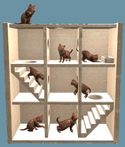 8. Fashiowl - Meow CatCafe