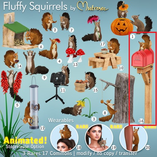16-Mutresse-Fluffy Squirrels
