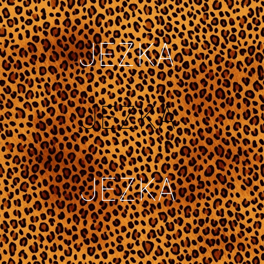 JEZKA - Seamless Texture 113