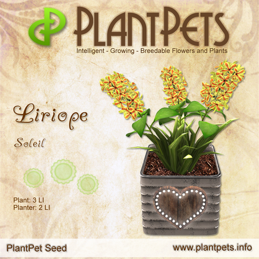 PlantPet Seed [Liriope *Soleil*] Common