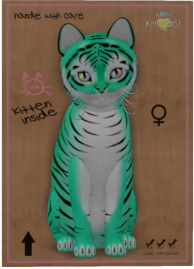 KittyCatS Box - Tiger! - Seafoam