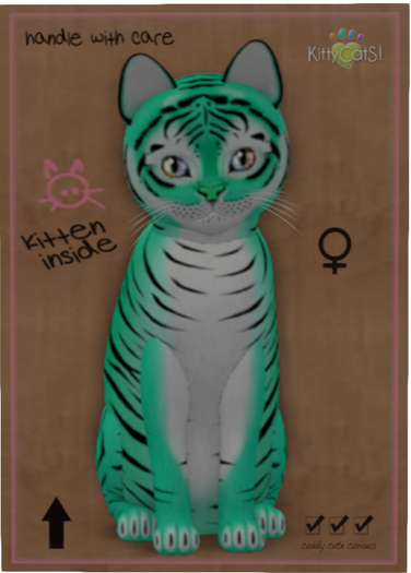 KittyCatS Box - Tiger! - Seafoam