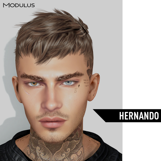 Modulus - Hernando Hair - FatPack