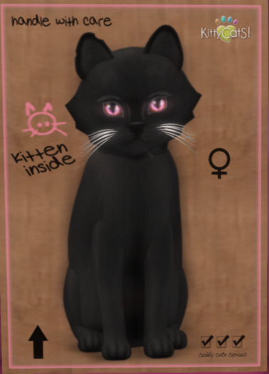 KittyCatS Box 109