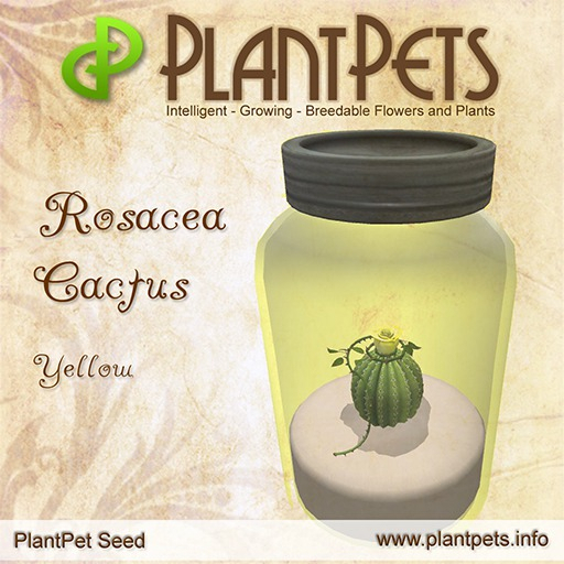 * PlantPet Seed [Rosacea Cactus *Yellow*]