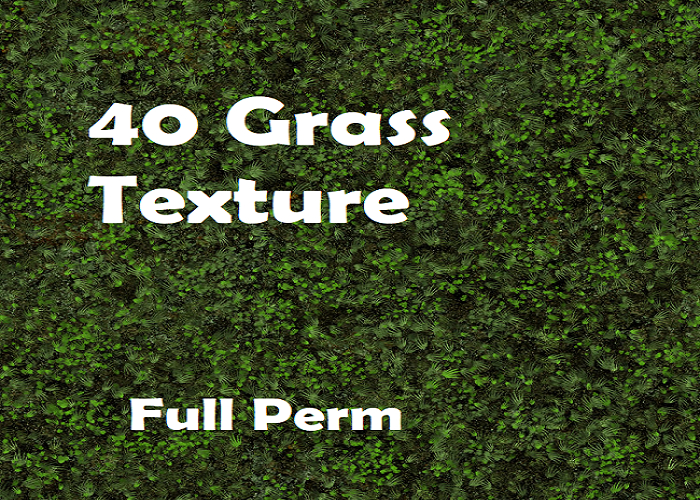 40 Grass texture