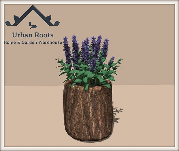 UR Herbs In Log Pot