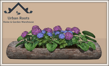 UR Hydrangea Log Planter 