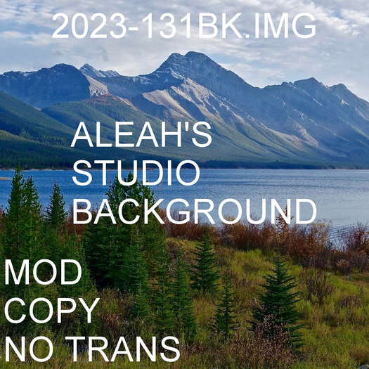 2023-131BK