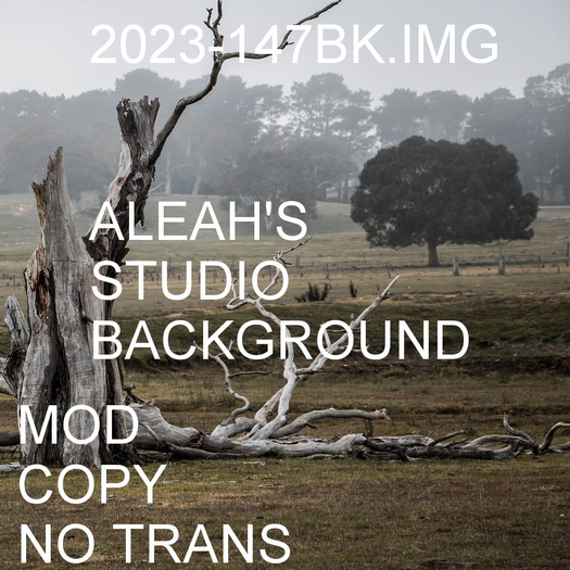 2023-147BK