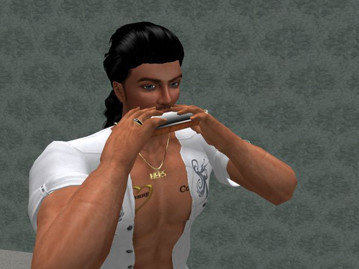 TM Harmonica Large - Transfer - For Larger Users