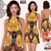 GIFT,CANVAS PRINT DRESS,CL&MESH BODY