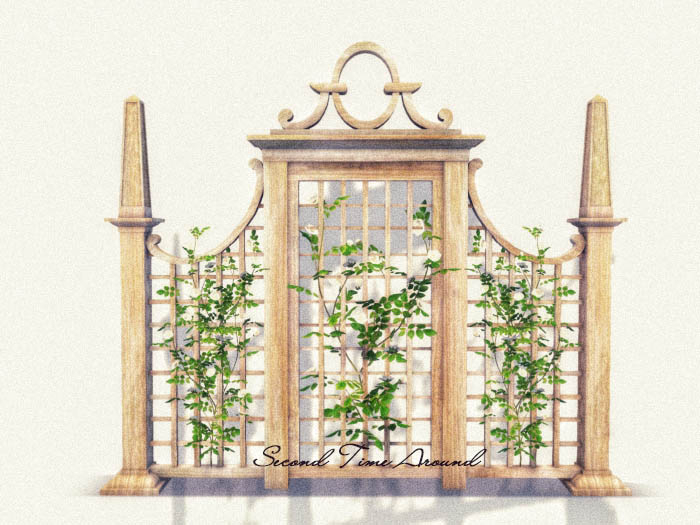 1.{Why Not?} New Bloom Tea Time Trellis  RARE