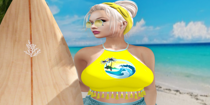 WTFW - BEACH VIBES MESH FEMALE HALTER TOP