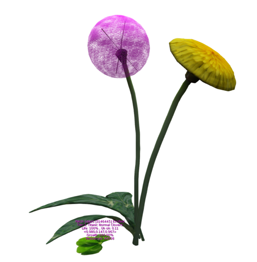 {Papillon} Plant Patch Titanic Clovers Dandelion