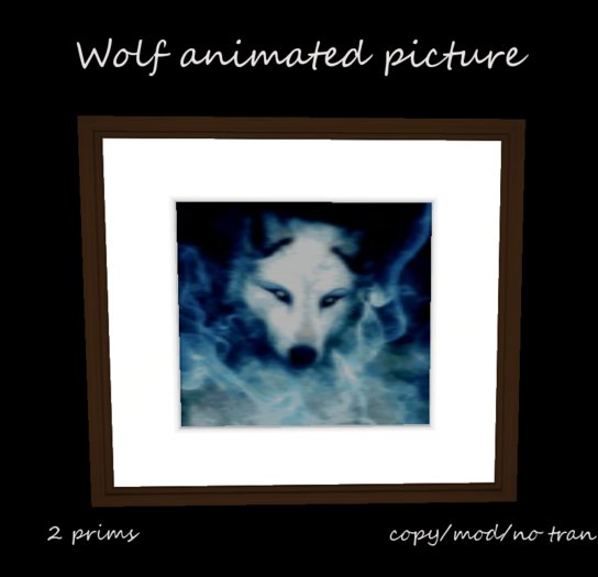 Wolf animated picture