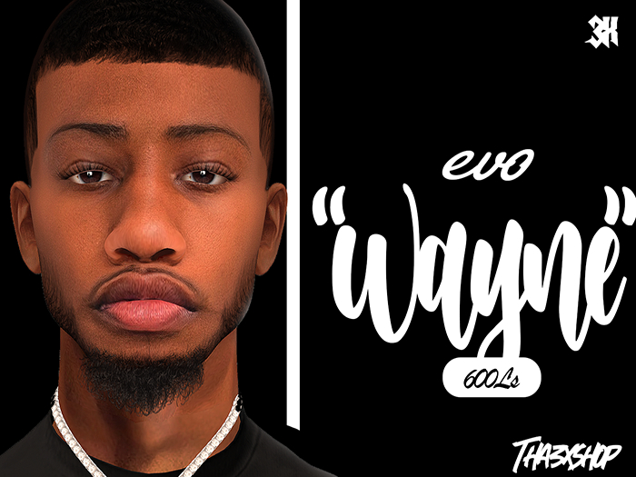 3x Wayne Skin Bom/Evo