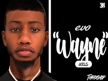 3x Wayne Skin Bom/Evo