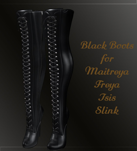 Sexy Black Boots for Belleza, Maitreya, Slink