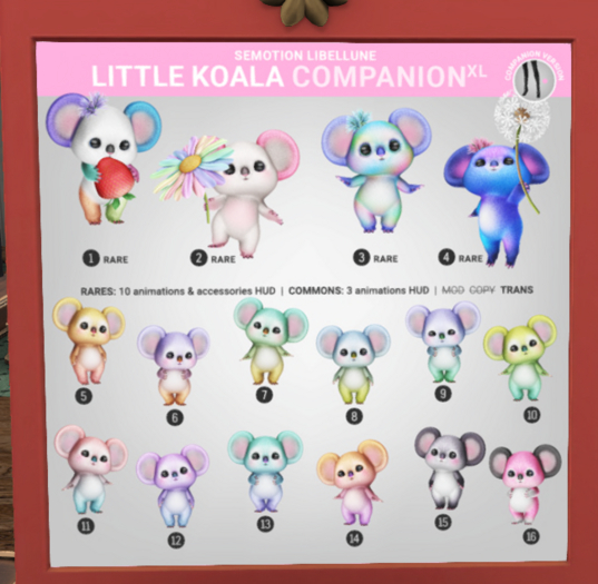 2. SEmotion Libellune Little Koala XL Companion RARE