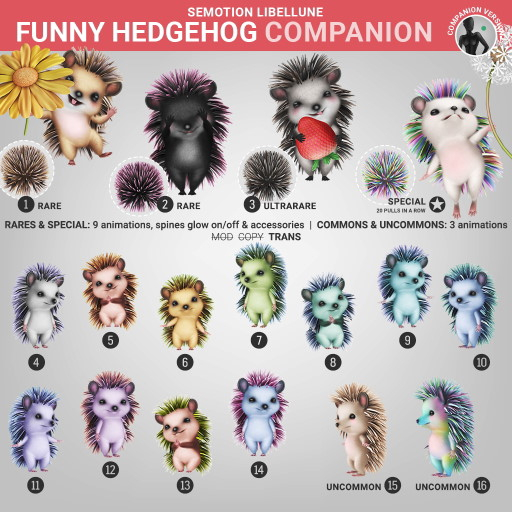 SEmotion Libellune Funny Hedgehog XS Companion COMMON 08
