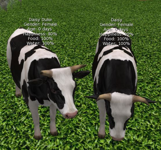 DFS Cow - Holstein