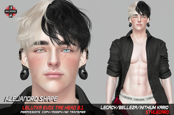 AM. Alejandro Shape  Lelutka Tae Head 3.1 [Evo X]