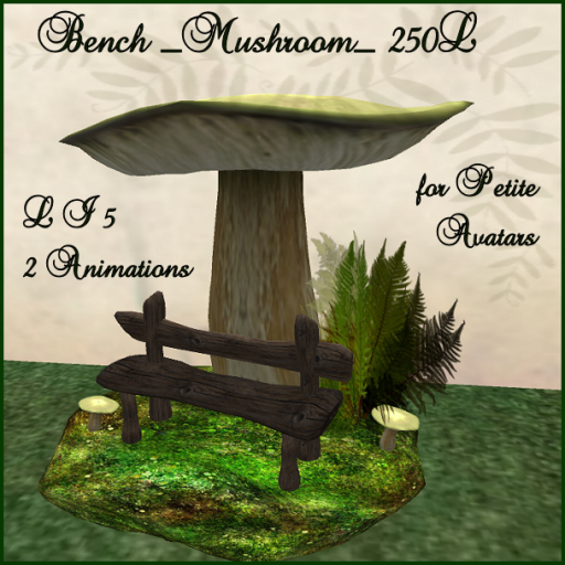 petite_Bench mushroom 
