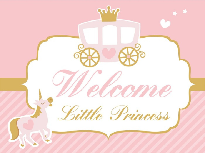 Princess Sign-Welcome