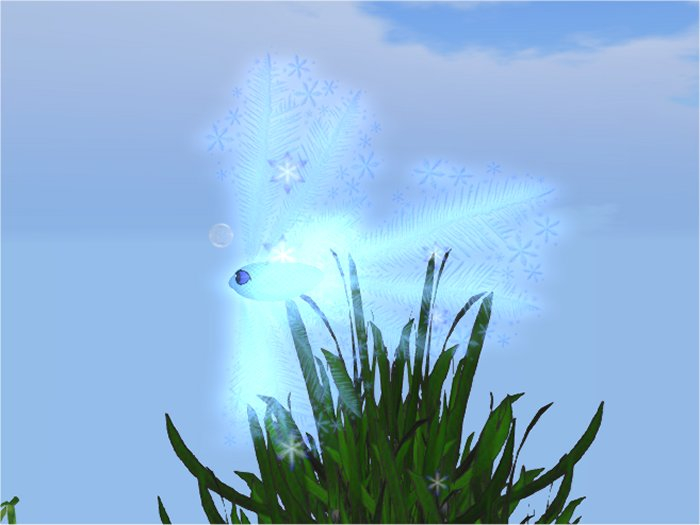 (7S) Common Fish: Blue Frost Fish