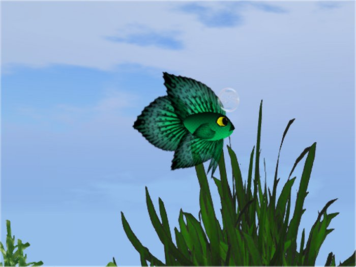 (7S) Common Fish: Green Betta