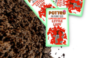Potted: Ivy Plant Seed: Limited Edition Little Lady