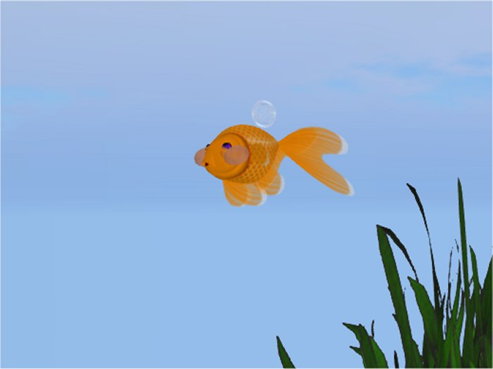 (7S) Common Fish: Bubble Goldfish