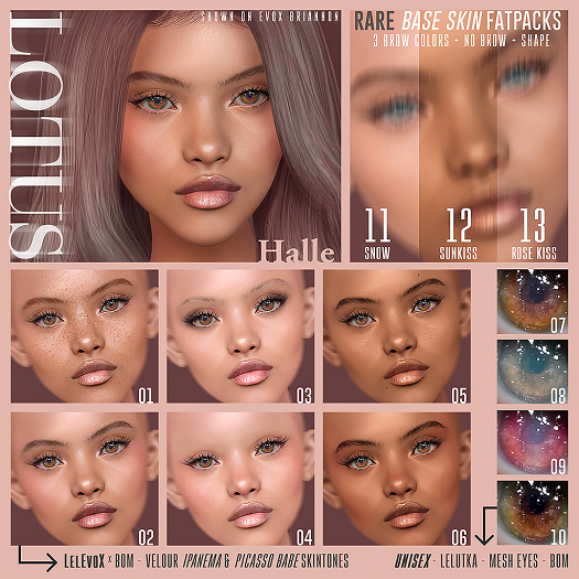 12. LOTUS. Halle Fatpacks SUNKISS [boxed] RARE