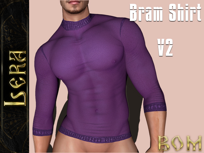 !L! Bram Shirt ~ V2 Purple