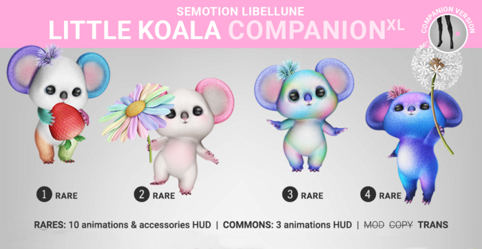 SEmotion Libellune Little Koala XL - Rares Set