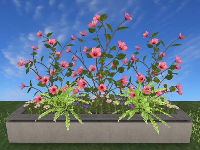 RW - Hibiscus planter *Lokela* c/m  Pink