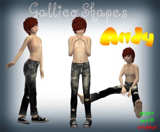 Andy Boy Shape