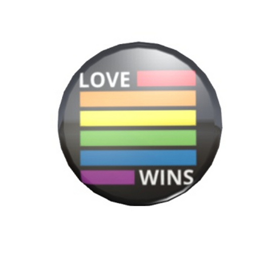 Badge Pride flag for LGBT Love wins Button LGBT PRIDE  jewelry pins pin's brooches 