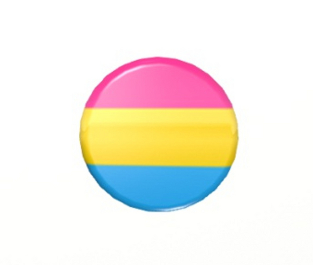 PANSEXUAL BADGE Button sl jewelry pins pin's brooches 
