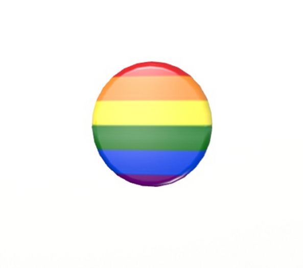 6 COLOR PRIDE FLAG BADGE  Button sl jewelry pins pin's brooches 