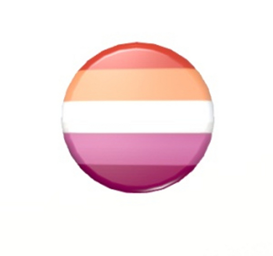LESBIAN BADGE  Button sl jewelry pins pin's brooches 