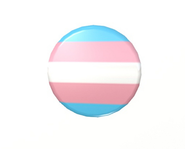 TRANSGENDER BADGE Button sl jewelry pins pin's brooches 