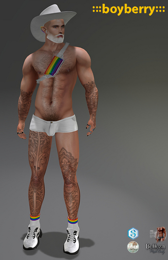 boyberry Pride Shorts 23