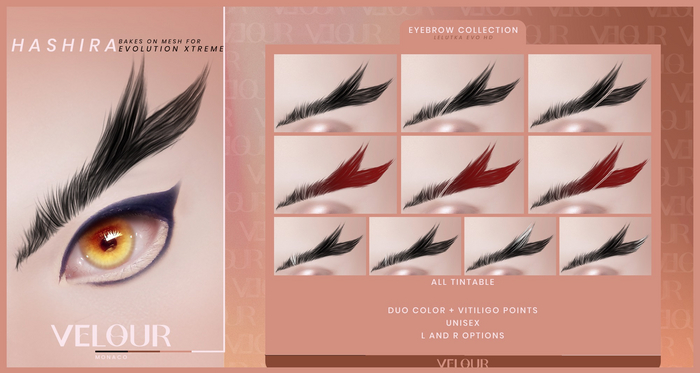 VELOUR: "RASHIRA" EYEBROW