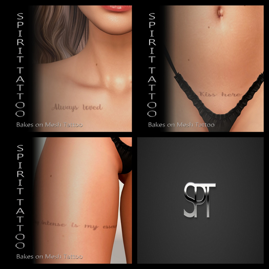 Pack Always loved VENDOR