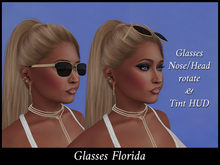 BB Design Glasses Florida